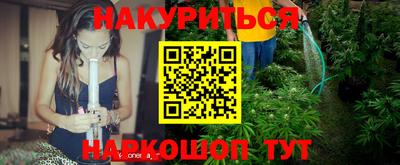 стафф Краснознаменск
