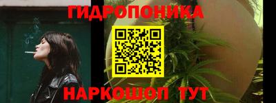 стафф Краснознаменск