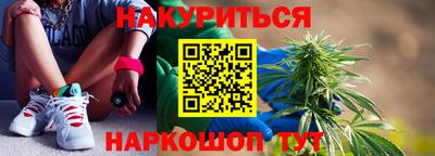 стафф Краснознаменск