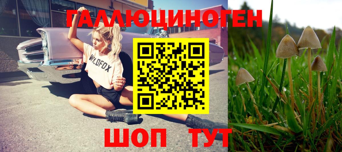 Галлюциногенные грибы Psilocybine cubensis  Вход с VPN  Касимов  Псилоцибиновые грибы прущие грибы 